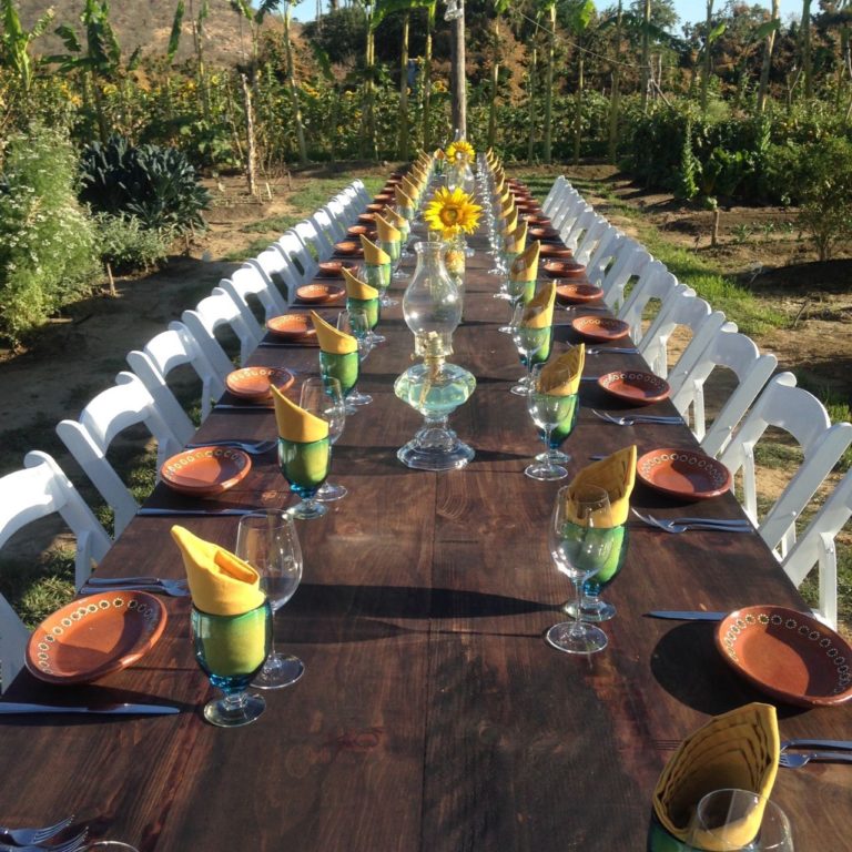 Cabo Wedding venues, flora farms
